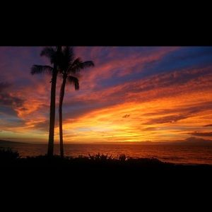 Meet your Posher, Robynn